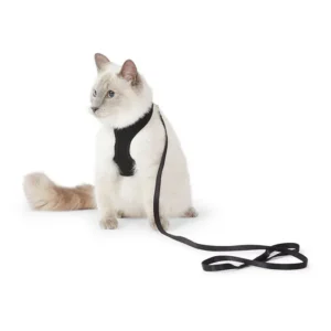 Mesh Vest Cat Harness & Lead Set Black S