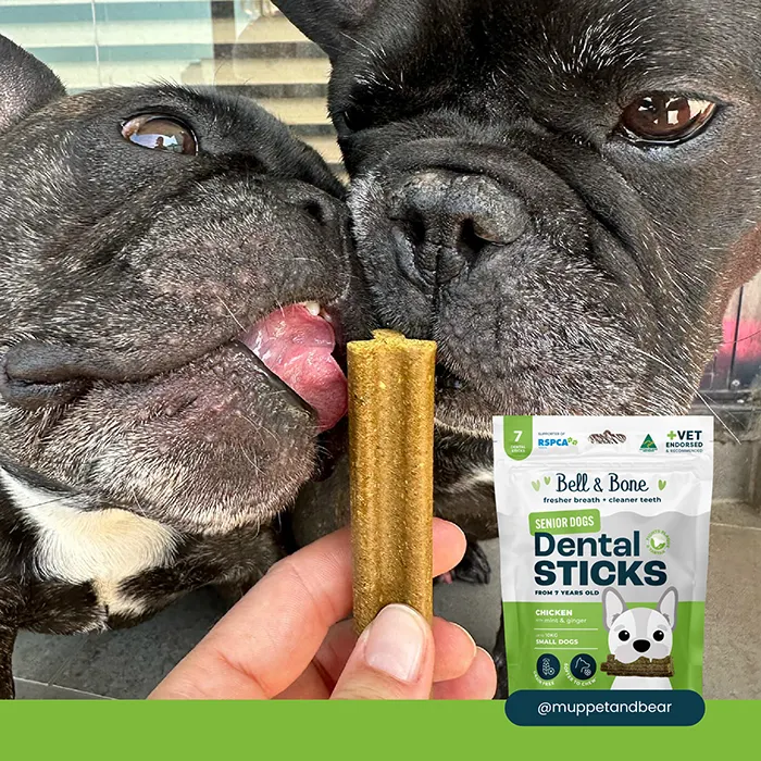 Dental Stick Chicken Senior Dog Treat - Image 5